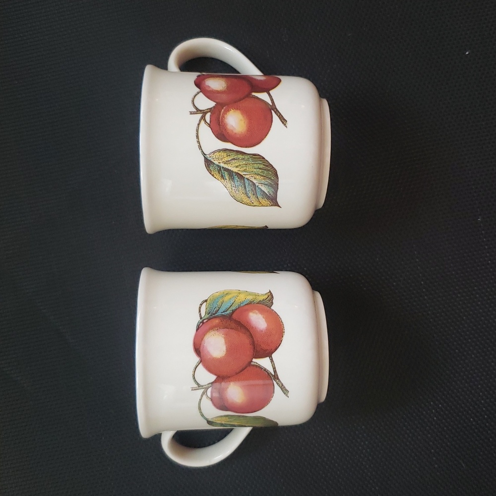 Vtg Lots of 2 Staffordshire Tableware Autumn Farye Mugs  Made in England